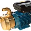 Elektrokreiselpumpe 230V aus Bronze EPLR40 | Bild 1