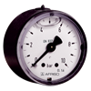 Glyzerinmanometer ø 50 mm axial 1/4" AG, 0-25 bar