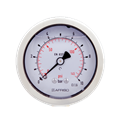 Glyzerinmanometer ø 63 mm axial 1/4" AG, 0-25 bar