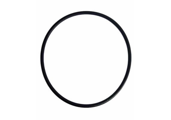 O-Ring zu PIUSI Viscomat 70/90