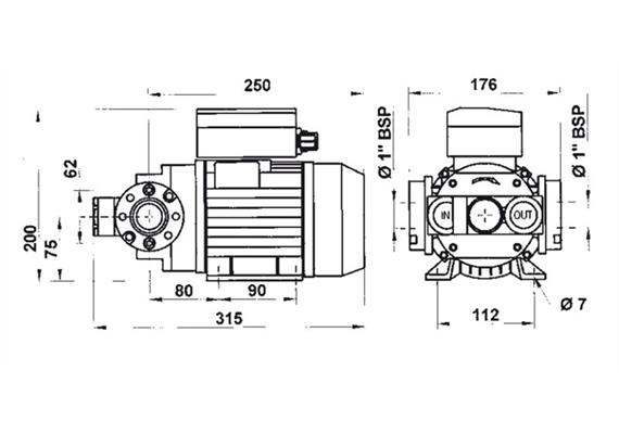 PIUSI Flügelzellenpumpe E120/M | Bild 2