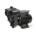 PIUSI Flügelzellenpumpe E300