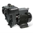 PIUSI Flügelzellenpumpe E300 | Bild 1