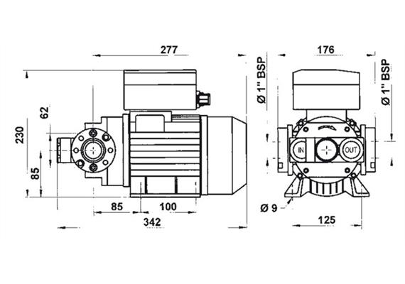 PIUSI Flügelzellenpumpe E80/M | Bild 2