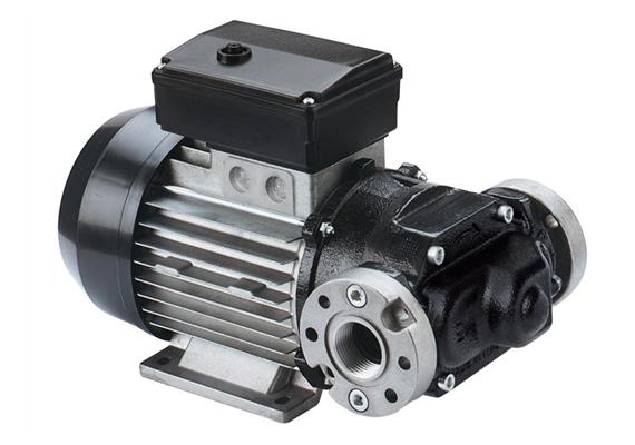 PIUSI Flügelzellenpumpe E80/M | Bild 1