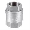 Rückschlagventil Inox 1" IG