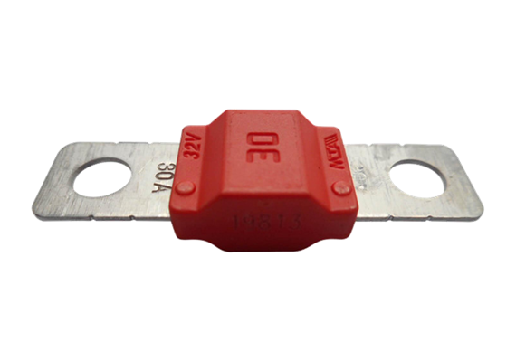 Sicherung 30A für Anschlusskabel 12/24V