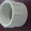 Adaptateur DIN71 femelle - 2" femelle pour bidon | Bild 2