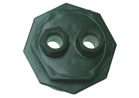 Raccord pour citernes 2" plastic pour 2 x 6 - 12 mm
