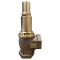 Vanne anti-siphon 1" femelle, 0.15 - 0.35 bar