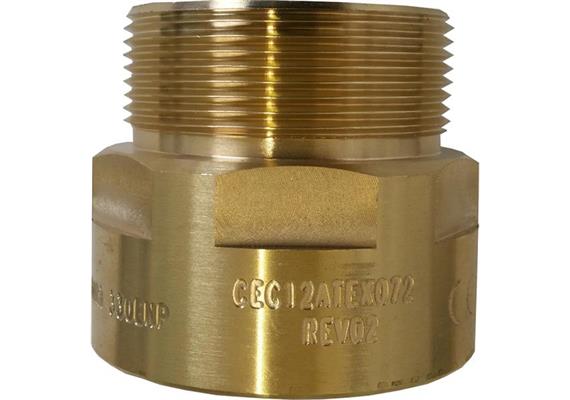 Antideflagrante in linea 2" EN16852