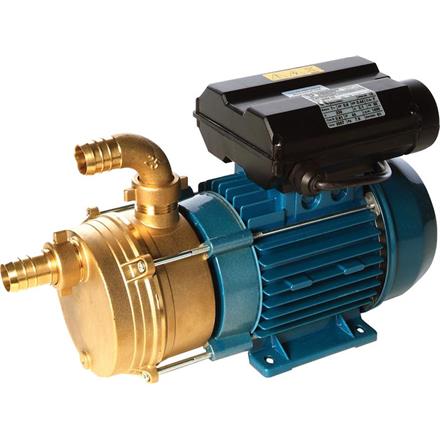 Elettropompa 230V in bronzo EPLR25S