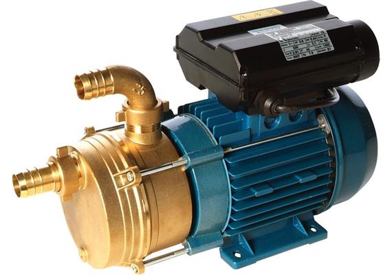 Elettropompa 230V in bronzo EPLR25S