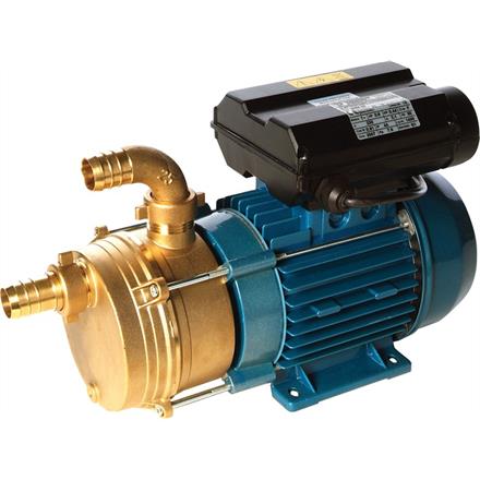 Elettropompa 230V in bronzo EPLR25S