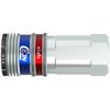 Raccordo CEJN eSafe serie 300 ¼" femmina