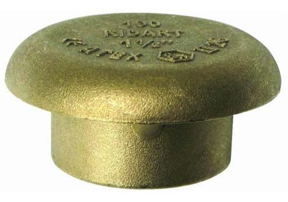 Tappo di sfiato 2" femmina in ottone