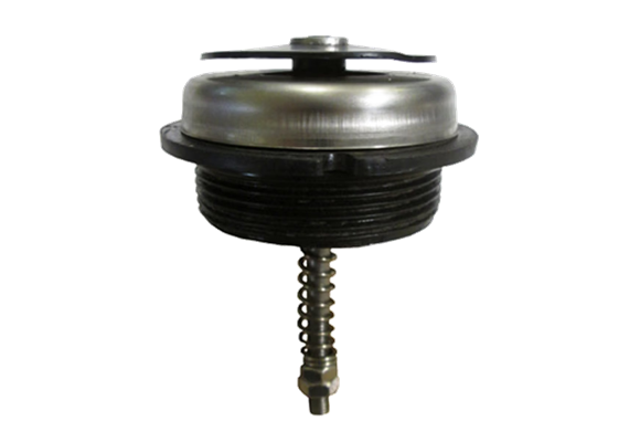 Valvola di pressione/depressione PRV-MF 2" BSP